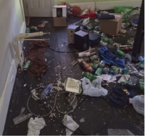 Darlington kids living in home with _dog feces in every room,_ report says (Image 1)_52566