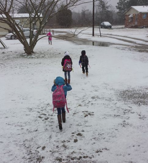 Snow and freezing rain falling, power restored in Florence (Image 1)_53585