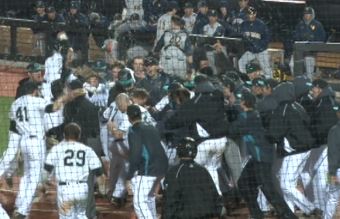 Young's walk-off HR lifts CCU past WVU (Image 1)_53852