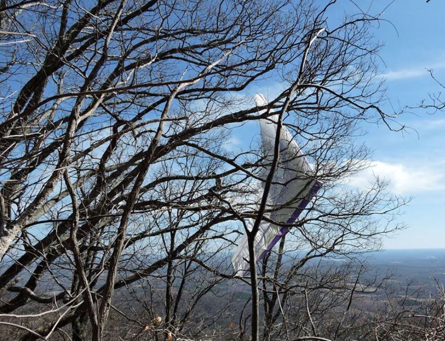 SC hang gliders rescued after crashing into trees (Image 1)_54356