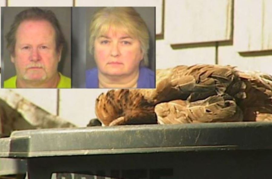 Man admits handcuffing boy, putting dead chicken around neck (Image 1)_54871