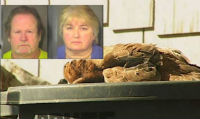 NC woman pleads guilty after boy handcuffed with dead chicken around his neck (Image 1)_55543