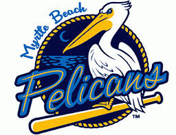 Myrtle Beach Pelicans to honor veterans in July (Image 1)_57392