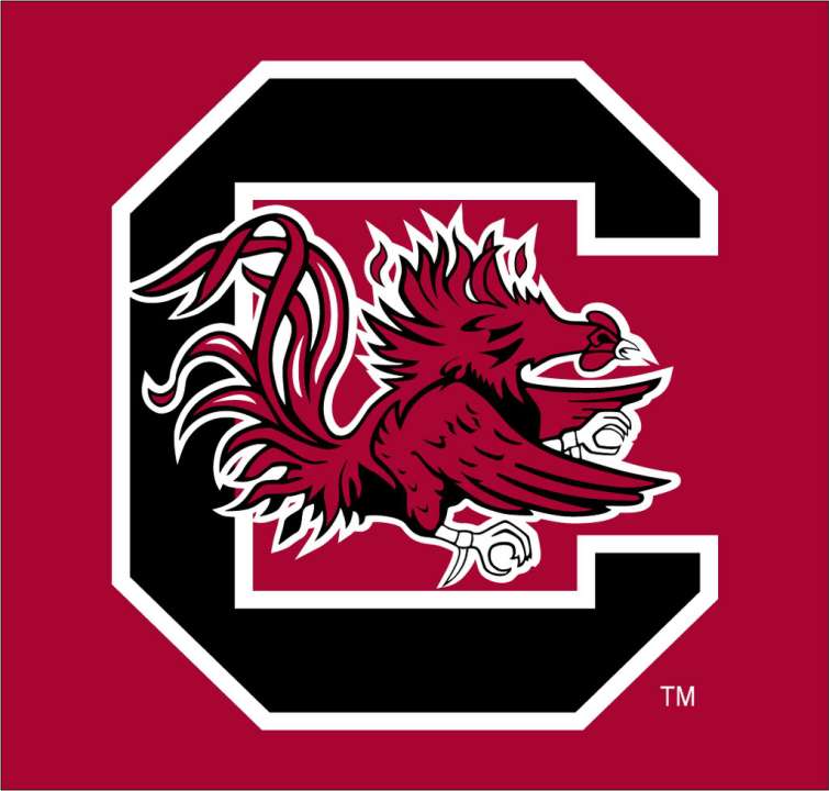 South Carolina logo_57596