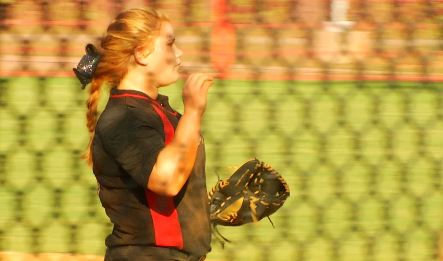 Hartsville baseball and softball fall in state title openers (Image 1)_58806