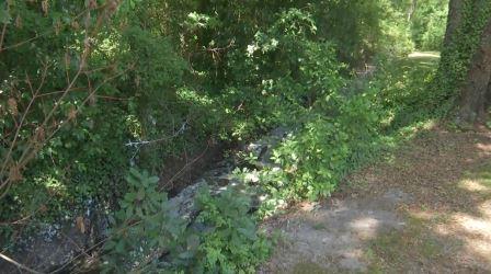 Work begins to clean-up smelly ditch in Darlington (Image 1)_62758