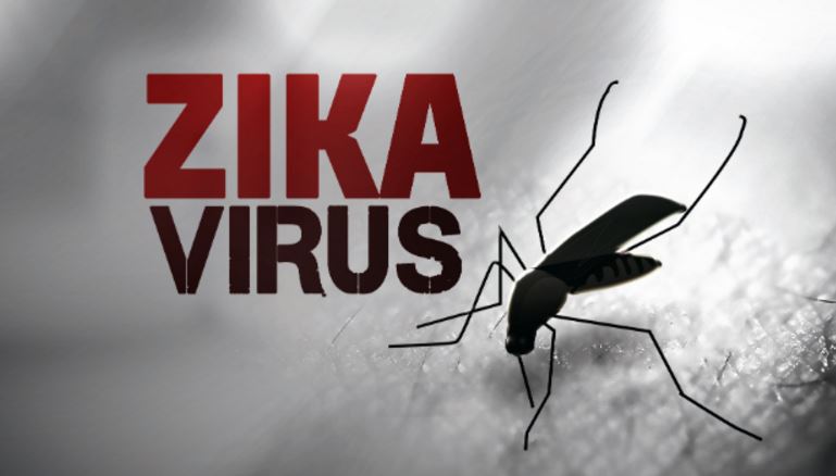 zika1_190750