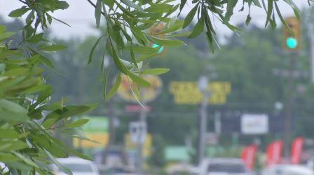 Darlington to welcome Walmart Supercenter along U.S. 52 (Image 1)_59488