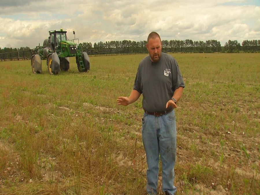 Harold Hill in field_223433