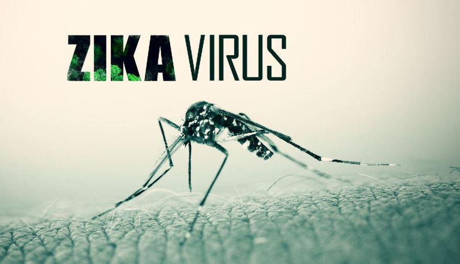 ZIKA AGAIN_191258