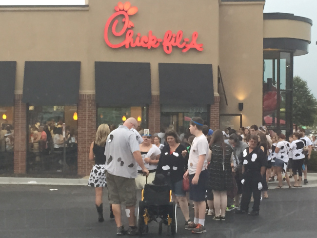 chick-fila-cow-appreciation_251584