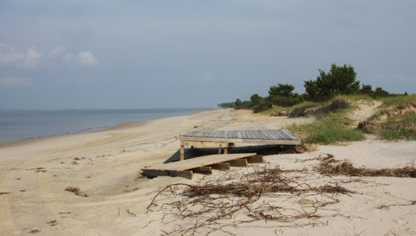 shackleford-banks_448549