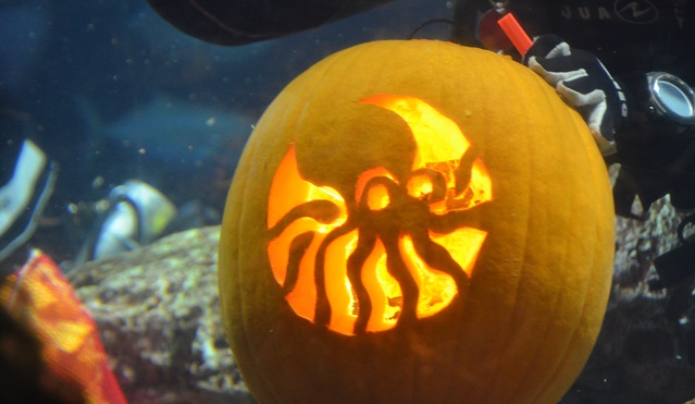 South Carolina Aquarium Underwater Pumpkin Carving Competition October 2016_296822