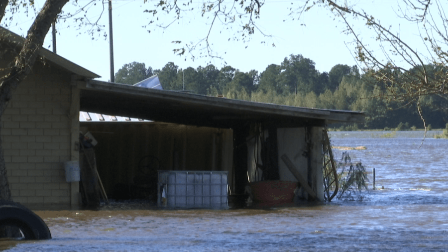 rocomatthewflood_291214