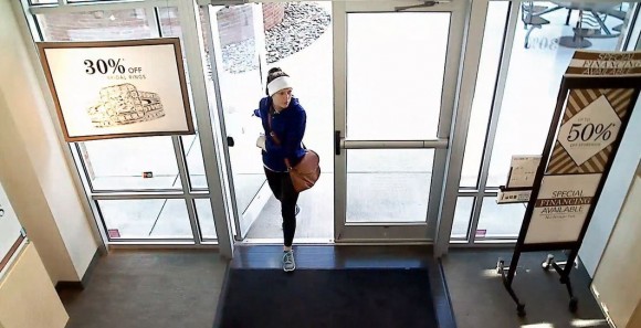 678496-southern-lady-jewelry-thief-sought-d448f_327296