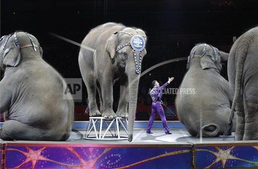 Ringling bros circus_332659