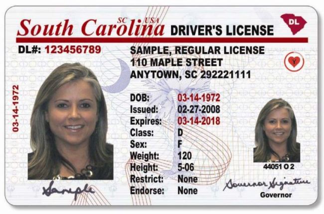 sample-sc-drivers-license_333995