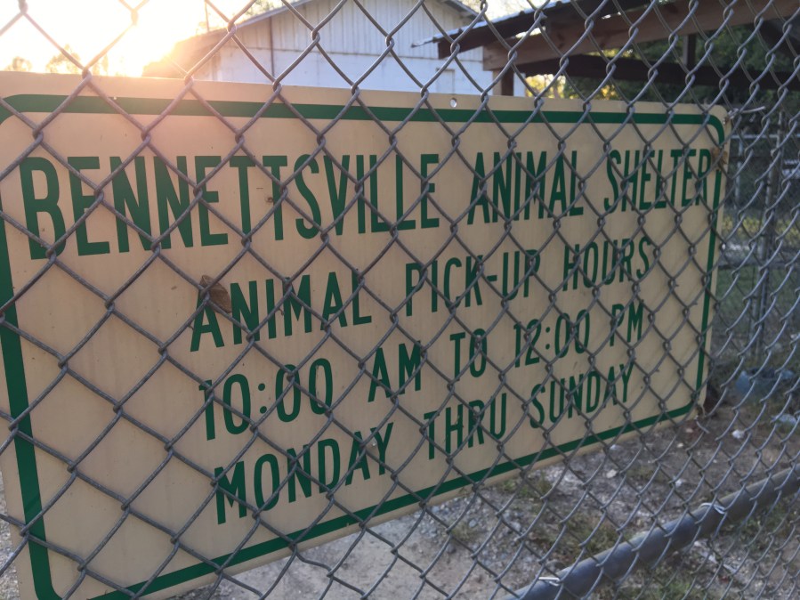 bennettsvilleshelter_358739