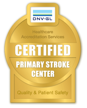 DNV-GL_certified_primary-stroke 2_365297