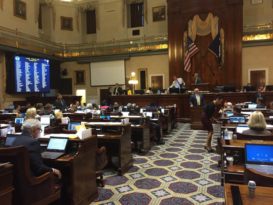 House Constitutional carry debate_383178