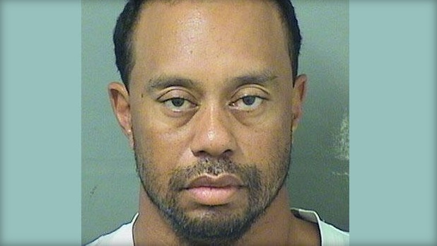 Tiger-Woods-DUI_415034