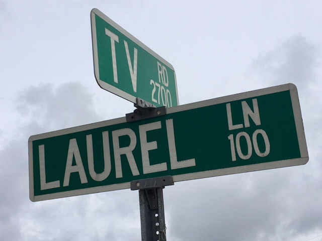 laurel-road_427639