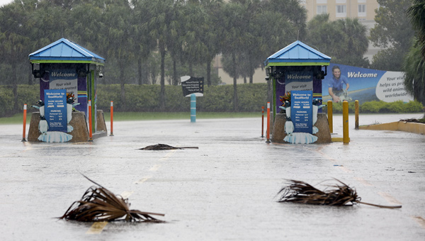 sea world orlando ap_476062