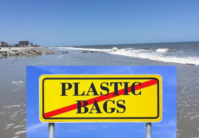 no plastic bags_258723