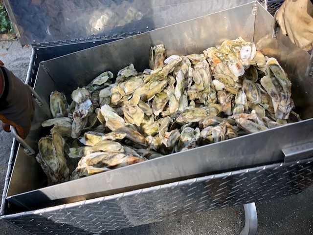 oyster roast_1521323426778.jpeg.jpg