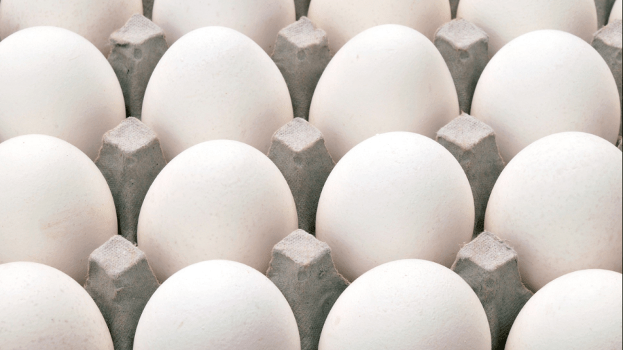 eggs_1523813530434.PNG