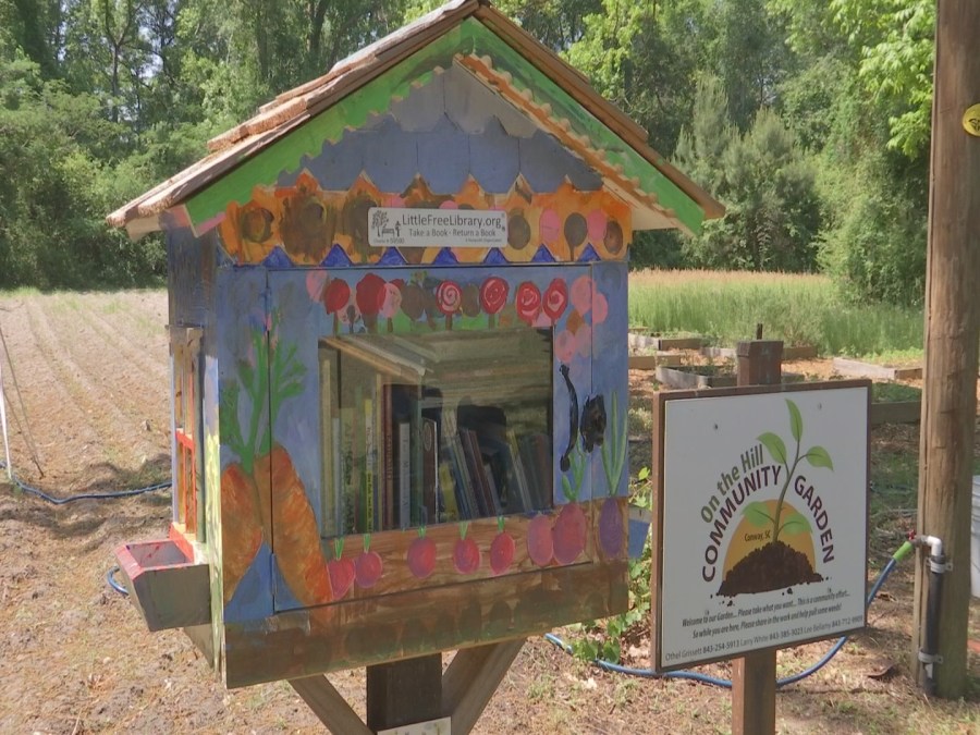 little free library_1526164582998.jpg.jpg