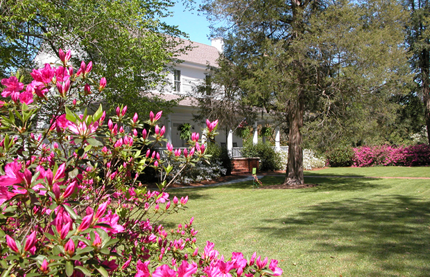 kalmia gardens_1547583432563.png.jpg